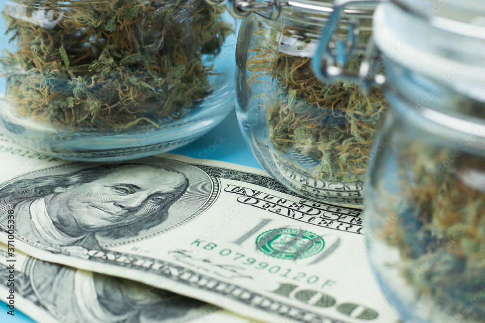 Green Gold Rush: Exploring the Latest Investment Trends in the Cannabis Industry